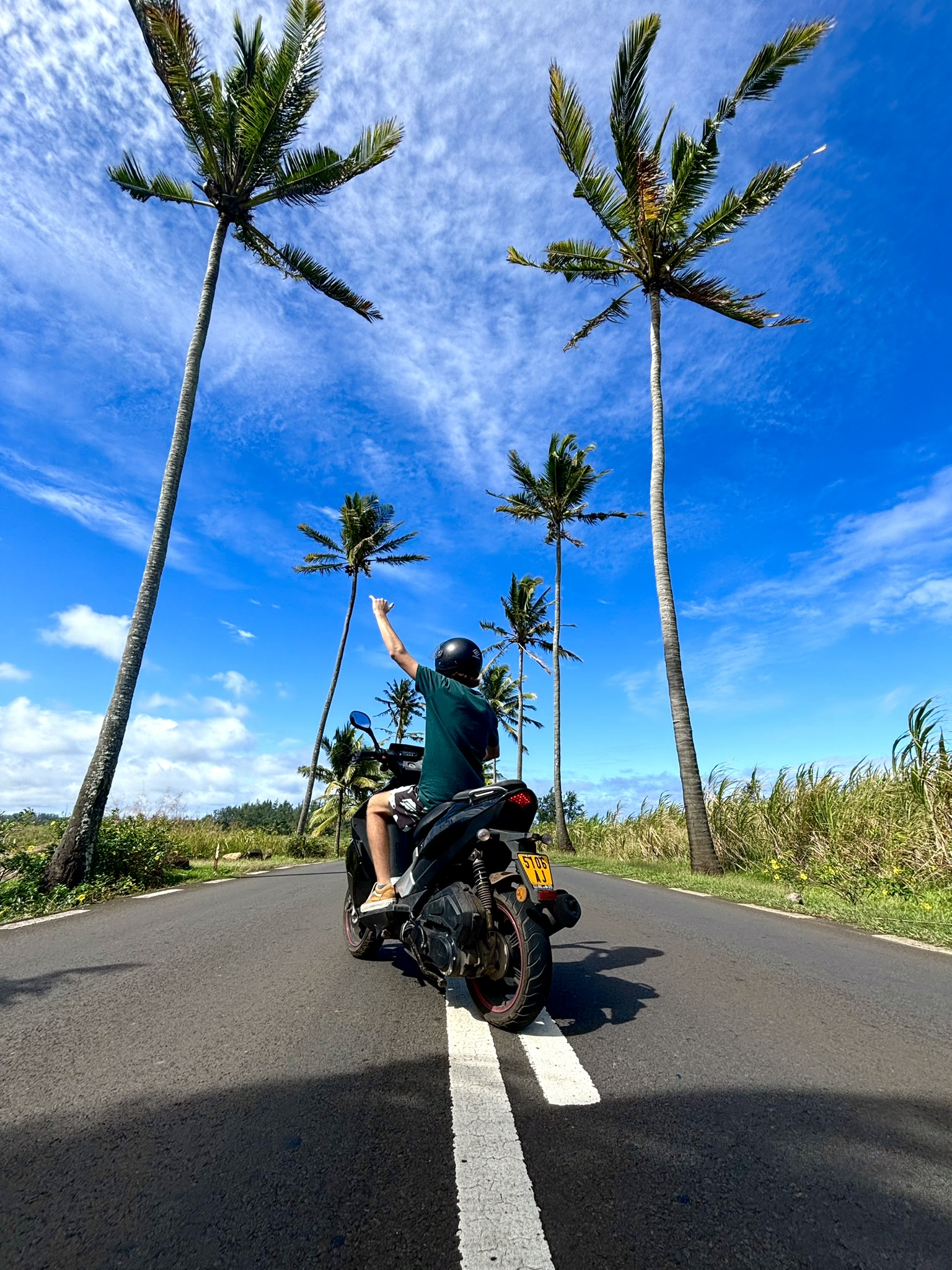 Scooter, Palm Trees, Scooter rental Mauritius